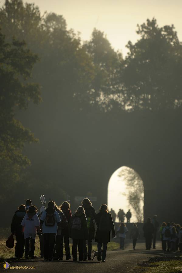 Nom de l'image : D30082876_1_(c)Norbert-JUNG — Description :